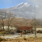 IMG_0843.HEIC